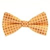 Light Gold, Gold and Blue Designed Pre-Tied Bow Tie With Matching Pocket Square  BWTH-904