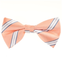 Cream/Butter Scotch With a Baby Blue Designed Pre-Tied Bow Tie with Matching Pocket Square BWTH-909