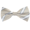 Silver With Blue, Silver and White Striped Pre-Tied Bow Tie with Matching Pocket Square BWTH-911