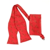 The Ankh Adjustable Self-Tie Bow Tie Set with Matching Pocket Square DC232ASTBT