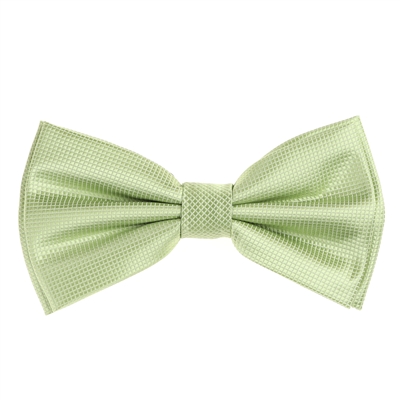 Mint Green Pin Dot Pre-Tied Bow Tie Set with Matching Pocket Square PDPTBT-34