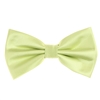 Pastel Green Pin Dot Pre-Tied Bow Tie Set with Matching Pocket Square PDPTBT-35