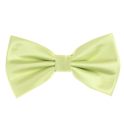 Pastel Green Pin Dot Pre-Tied Bow Tie Set with Matching Pocket Square PDPTBT-35