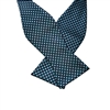 Elegance Green Silk Self Tie Bow Tie With Matching Pocket Square SBWTH-1349