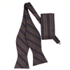 Navy with Taupe Striped Designed Self-Tied Bow Tie with Matching Pocket Square  SBWTH-931
