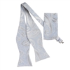 Baby Blue and Grey Designed Self - Tied Bow Tie with Matching Pocket Square  SBWTH-936