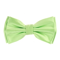 Pastel Green  Satin Finish Silk Pre-Tied Bow Tie with Matching Pocket Square SPTBT-220