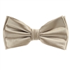 Sage Green  Satin Finish Silk Pre-Tied Bow Tie with Matching Pocket Square SPTBT-224
