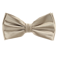 Sage Green  Satin Finish Silk Pre-Tied Bow Tie with Matching Pocket Square SPTBT-224