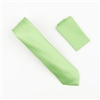 Pastel Green Satin Finish Silk Necktie with Matching Pocket Square SWTH-220