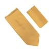 Gold Pin Dot Silk Neck Tie Set SWTHPD-111