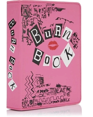 Mean Girls Burn Book Make Up Brush Holder