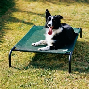 Medium Elevated Indoor/Outdoor Dot Cot in Brunswick Green