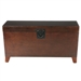 Contemporary Lift Top Coffee Table Storage Trunk in Espresso Finish