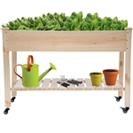 2ft x 4ft Outdoor Solid Fir Wood Raised Garden Bed Planter Box on Locking Wheels