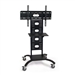 Mobile Flat Screen TV/ Monitor Stand Adjustable 37 to 59-inch High