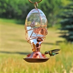 Copper and Glass Hummingbird Feeder - 32 Fl. oz. Nectar Capacity