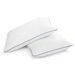 Set of 2 Queen size Memory Foam Pillow with Removable Machine Washable Cover