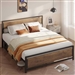 Queen Modern Metal Wood Industrial Platform Bed Frame with Headboard Footboard