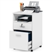 White Rolling 2-Drawer Mobile File Cabinet Printer Stand Office Cart on Wheels