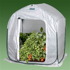Plant-House Home Garden Cold Frame Style Greenhouse (3' x 3')