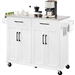 White Kitchen Cart Island with Stainless Steel Top 2 Drawers and Cabinet