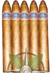 Warped Futuro Seleccion 109 5 Pack