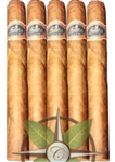 Warped Futuro Seleccion Suprema 5 Pack