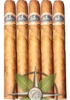 Warped Futuro Seleccion Suprema 5 Pack