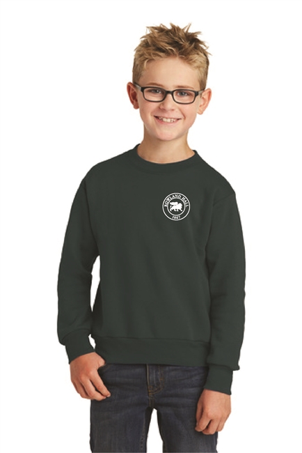 Youth Core Fleece Crewneck Sweatshirt