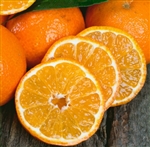 Tangerine*