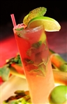 Watermelon Mojito