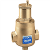 Caleffi 2" NPT female Discal NPT Air Separator with Â½" service check valve 551009AC