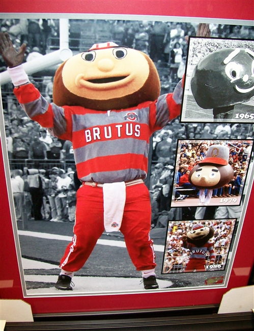 Brutus Buckeye Evolution 16 x 20 Framed