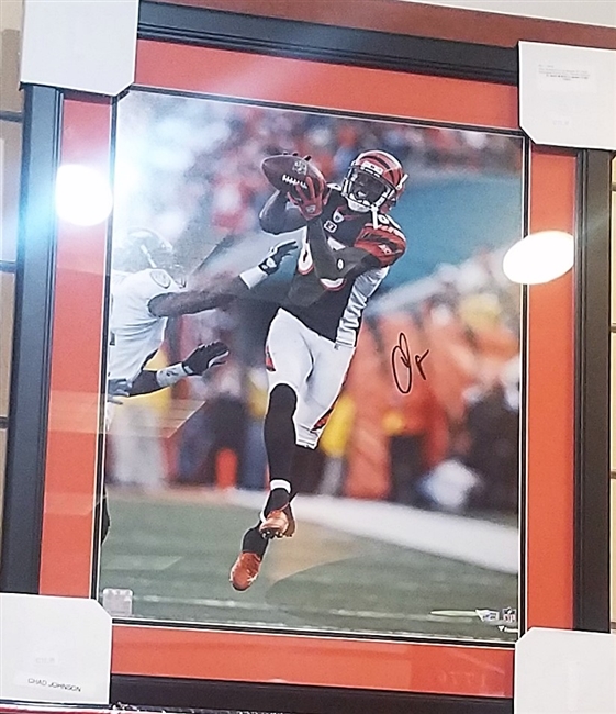 Chad Johnson Signed 16 x 20 Framed