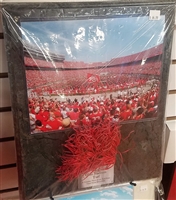 Official Ohio Stadium Piece of End Zone Turf w/8 x 10 Photo Gray Plaque