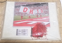 Official Ohio Stadium Piece of End Zone Turf w/8 x 10 Photo White Plaque