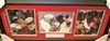 Ohio State National Championship Head Coaches Collage Framed
