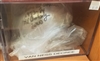 Van Ness Decree Signed Mini Helmet w/Case