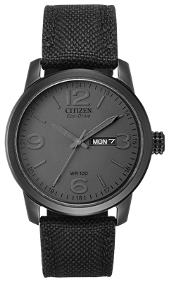 men's citizen eco-drive day/date black watch BM8475-00F