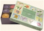 Gift Box - Fragrance & Light