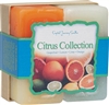 Herbal Gift Set - Citrus Collection Candles