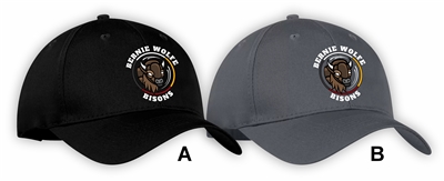Bernie Wolfe School ATC Cap
