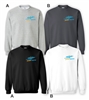 WYC Youth Crewneck Sweatshirt