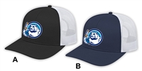 AAA Winnipeg Ice Mesh Back Cap