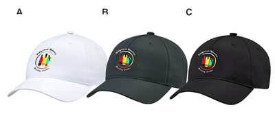 Indigenous Women's Healing Centre 5 Panel Hat
