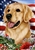 Golden Retriever In A Field Of Flowers With An American Flag Behind The Dog House Flag Art Work Is By Tamara Burnett