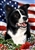 Border Collie In A Field Of Flowers With An American Flag Behind The Dog Garden Flag Art Work Is By Tamara Burnett