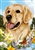 Golden Retriever In A Field Of Summer Flowers House Flag Art Work Is By Tamara Burnett