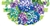 Striped Hydrangeas Vinyl Bunting by Custom Decor
